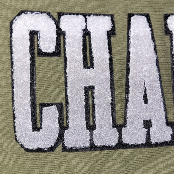 Champion Gradient Collegiate Logo Hoodie Sweatshirt - Picture 6 of 6